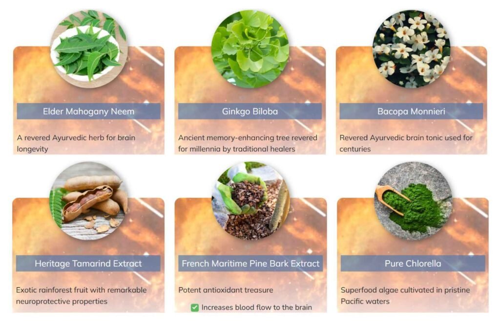 Pineal Guardian X Review