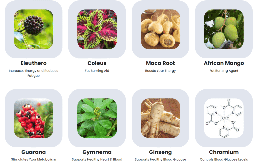 Sugar Defender Reviews 